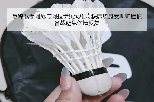 意媒曝穆阿尼与阿拉伊贝戈维奇缺席热身赛斯帅谨慎备战避免伤情反复